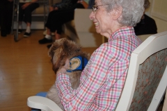 Pet Therapy <br/><em>November 16, 2016</em>